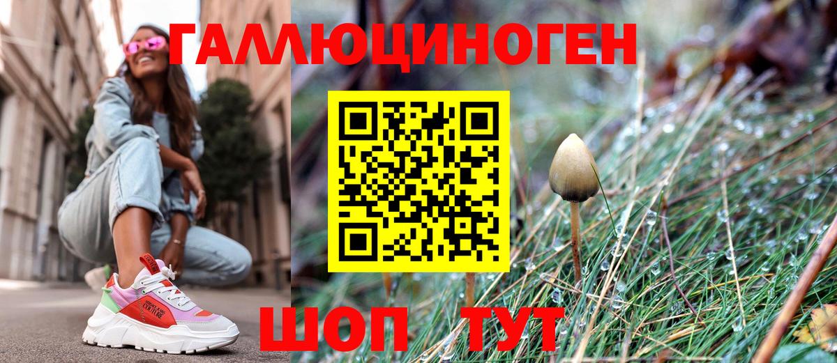 Псилоцибиновые грибы Magic Shrooms Заинск